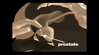 Sıkı ve porno seks anal kedi traş