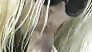 Sadece ful anal porno bir genç için eylemler